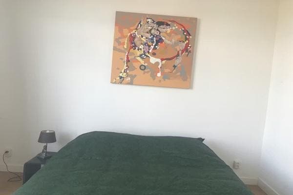 Appartement Newtonstraat in Den Haag, Huizen en Kamers, Huizen te huur, Via bemiddelaar, Den Haag, Appartement