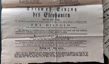 Triumph-Einzug des Elephanten von der Insel Siam - 1834