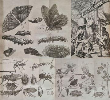 Antoine Pluche - Le spectacle de la nature - 1752