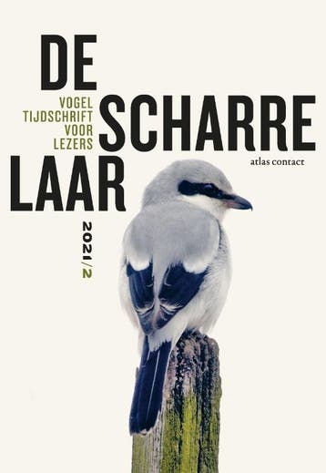 2021/2 |  | Nieuw, Ophalen of Verzenden, Nieuw