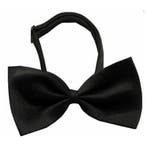 82-delige set Cats Black and White, Verzenden, Nieuw