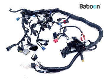 Kabelboom Suzuki DL 800 V-Strom 2023-2025 (EM12/EM22), Verzenden, Gebruikt