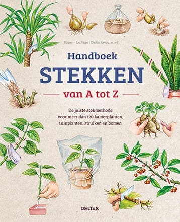 Handboek Stekken Van A Tot Z | ROSENN LE PAGE | Nieuw, Ophalen of Verzenden, Nieuw, ROSENN LE PAGE