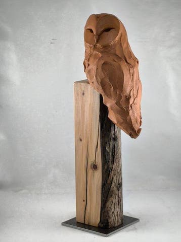Federico Alibrio - Spirit of the Earth - Barn Owl