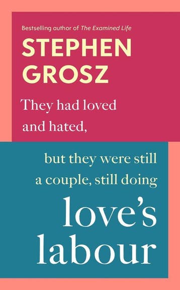9780701188979 Loves Labour Stephen Grosz, Verzenden, Nieuw, Stephen Grosz