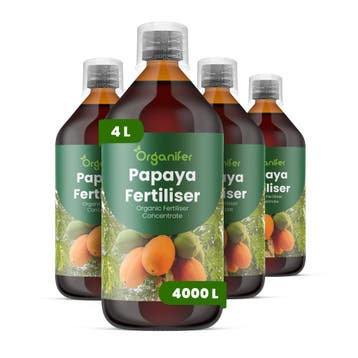 Papaja Vloeibare Meststof - Set 4x1 liter, Verzenden, Mest