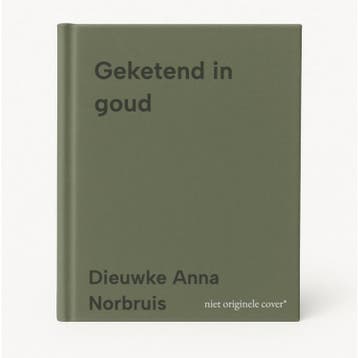 Geketend in goud - Dieuwke Anna Norbruis 9789463657730, Verzenden, Zo goed als nieuw, Dieuwke Anna Norbruis