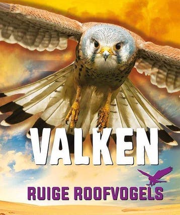 9789086647514 Ruige roofvogels - Valken Nathan Sommer, Boeken, Verzenden, Nieuw, Nathan Sommer