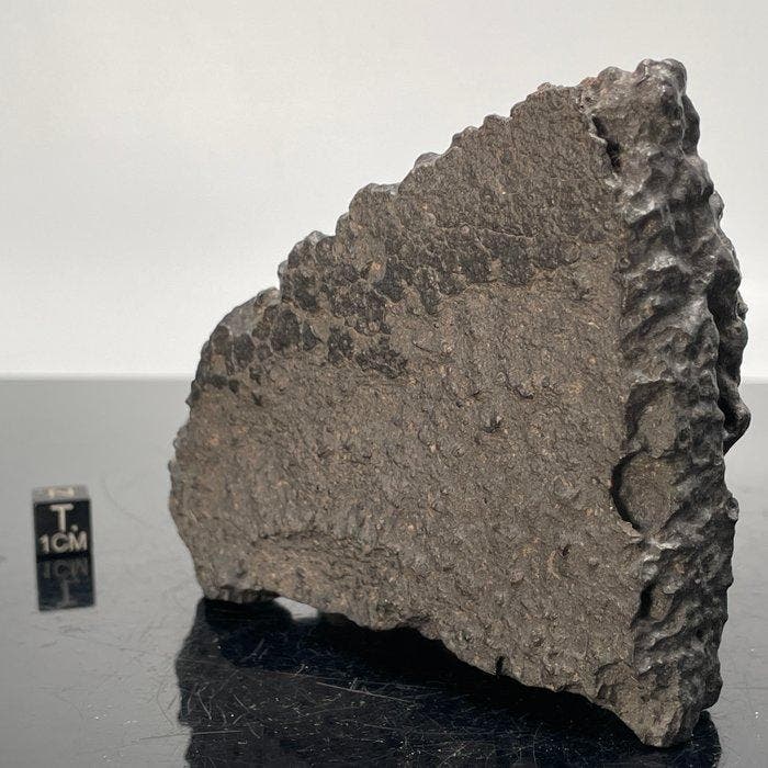 Koolstofhoudende chondriet CK6 SUEILILA 006 ZEER ZELDZAM, Verzamelen, Mineralen en Fossielen