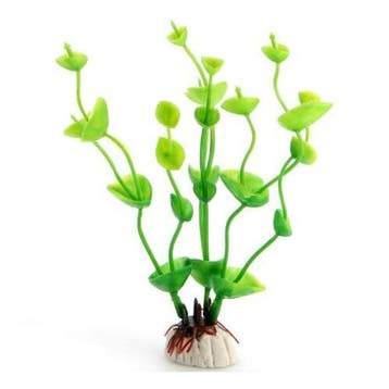 Aquarium Blad Plant, Verzenden, Nieuw