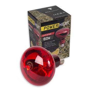 Infrarood lamp 60 Watt, Ophalen of Verzenden, Nieuw