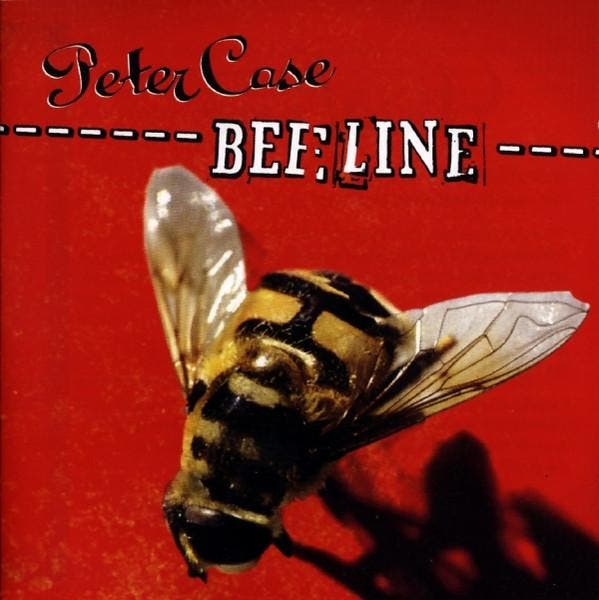 cd - Peter Case - Beeline, Cd's en Dvd's, Cd's | Rock, Zo goed als nieuw, Verzenden