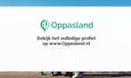 Dorine zoekt een oppas in Oud-Alblas voor 3 kinderen.