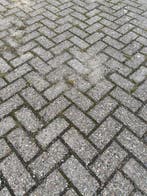Gebruikte betonklinkers OOIJ grijs, 22x11x7, op pallets..., Tuin en Terras, Ophalen of Verzenden, Gebruikt, Beton, Klinkers