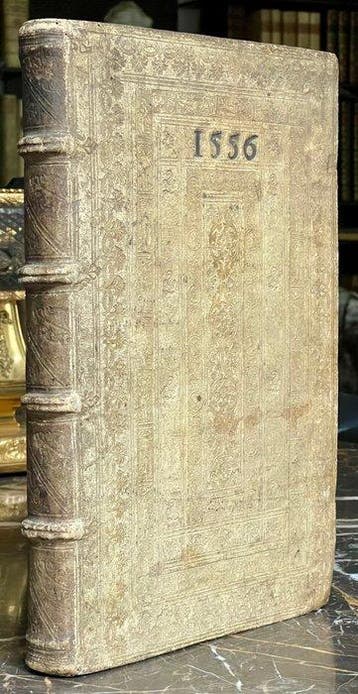 Pausania - De Tota Graecia - 1550