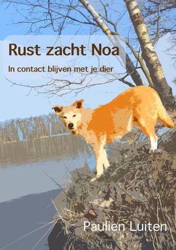 Rust zacht Noa - Paulien Luiten 9789465387871, Verzenden, Zo goed als nieuw, Paulien Luiten