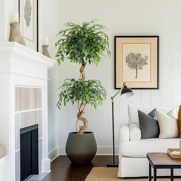 Kunstmatige ficus met gebogen stammen, 150 cm, realistische, Huis en Inrichting, Verzenden, Zo goed als nieuw