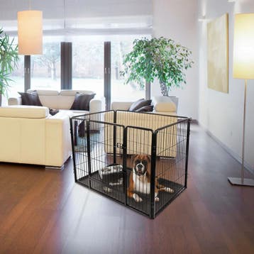MaxxPet Puppyren met bodemplaat (Honden, Dier), Dieren en Toebehoren, Verzenden, Nieuw