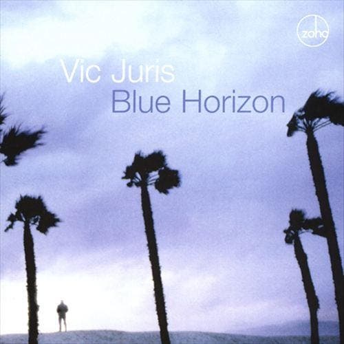 cd - Vic Juris - Blue Horizon, Cd's en Dvd's, Cd's | Overige Cd's, Zo goed als nieuw, Verzenden