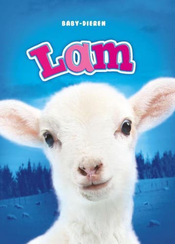 Lam / Baby-dieren - Christina Leaf 9789463411707, Verzenden, Zo goed als nieuw, Christina Leaf