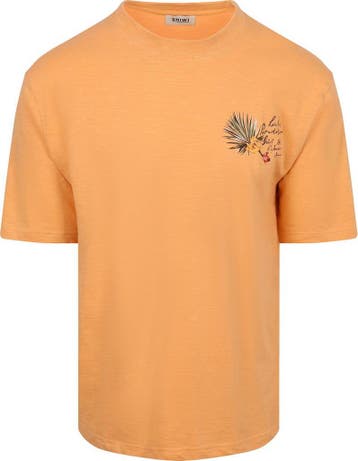 Shiwi T-Shirt Finn Oranje maat M Heren, Kleding | Heren, Shiwi, Nieuw, Oranje, Verzenden