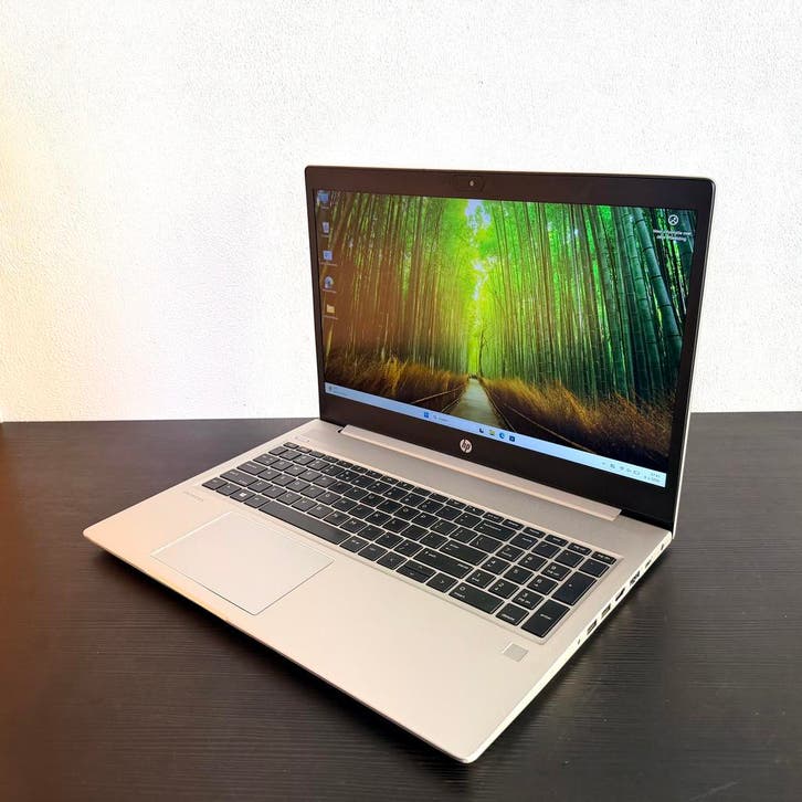 HP ProBook 450 G7 - Core i7 - 15 inch, Computers en Software, Windows Laptops, 3 tot 4 Ghz, SSD, 15 inch, Qwerty, Zo goed als nieuw