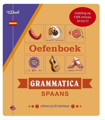 9789460775000 Van Dale Oefenboek grammatica Spaans, Verzenden, Nieuw, Christina Irun Chavarria