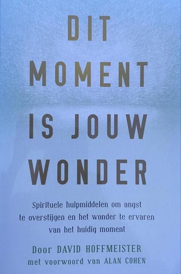 Dit moment is jouw wonder - David Hoffmeister 9789078405047, Verzenden, Gelezen, David Hoffmeister