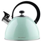 Florina Brillo fluitketel RVS mint groen 2.5 Liter - ook, Ophalen of Verzenden, Nieuw