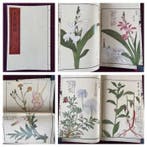Tsunemasa Iwasaki - - Illustrated Compendium of, Antiek en Kunst, Antiek | Boeken en Bijbels