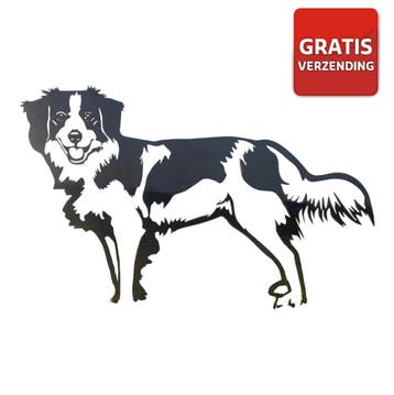 Tuindecoratie kooikerhondje-groot | 79.5 cm 70.2 cm, Verzenden, Nieuw