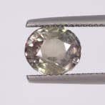 1 pcs Groen, Roze, Tweekleurig Saffier - 3.53 ct - Asian, Nieuw