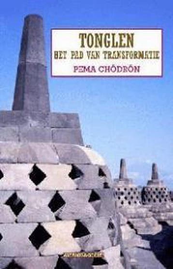 Tonglen - Pema Chodron 9789069635682, Boeken, Verzenden, Zo goed als nieuw, Pema Chodron