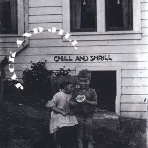 cd - Jack &amp; Jill - Chill &amp; Shrill, Cd's en Dvd's, Cd's | Overige Cd's, Zo goed als nieuw, Verzenden
