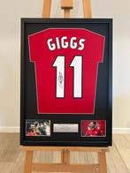 Manchester United - Kampioenschaps voetbal competitie -, Nieuw