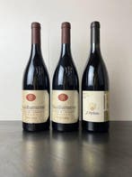 1992 x2, 2005 J. Hofstätter, Blauburgunder Vigna S. Urbano -, Nieuw