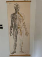 J.A.J. Barge - B. van Goor Zonen - PLAAT IV - jaren 1950