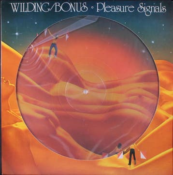 Danny Wilding / Peter Bonas - Pleasure Signals (LP 1978), Ophalen of Verzenden, Gebruikt