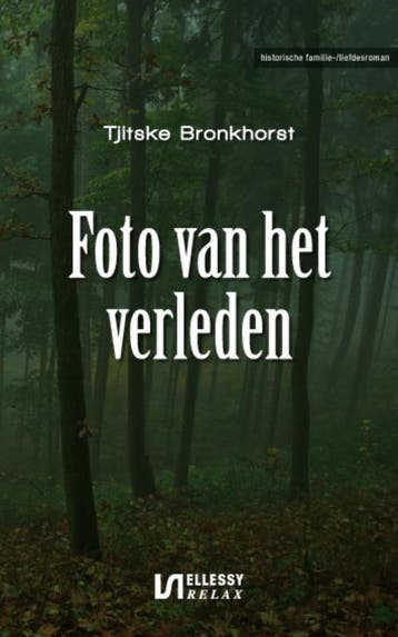 Foto van het verleden - Tjitske Bronkhorst 9789086600854, Boeken, Verzenden, Zo goed als nieuw, Tjitske Bronkhorst