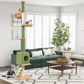 2dekans | In Hoogte Verstelbare Krabpaal 218–253 cm – Luxe, Dieren en Toebehoren, Ophalen of Verzenden, Zo goed als nieuw