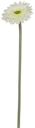 Gerbera Spicky Ivoorwit Zijdenbloem 34 cm per stuk, Ophalen of Verzenden, Nieuw