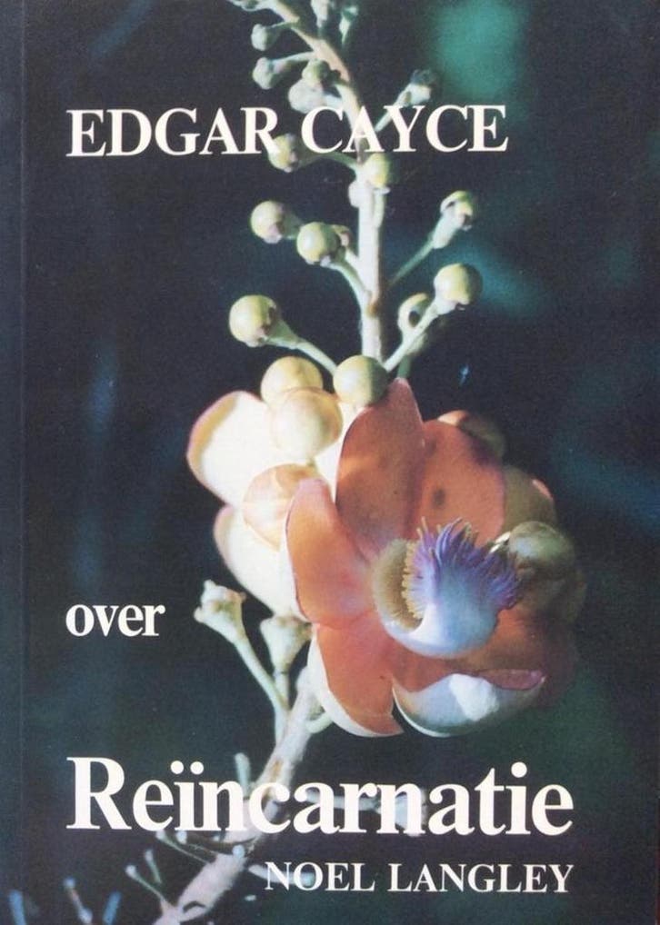 EDGAR CAYCE OVER REINCARNATIE 9789065563316 N. Langley, Boeken, Filosofie, Gelezen, Verzenden