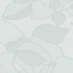 Raamfolie, glasfolie, rozen transparant (45cm), Nieuw