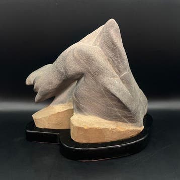 Natuurlandschap suiseki kijksteen met gegraveerd houten
