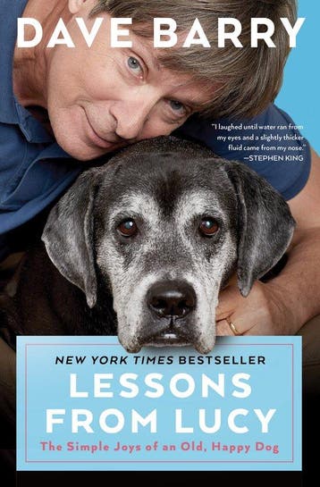 9781501161162 Lessons From Lucy Dr Dave Barry, Verzenden, Nieuw, Dr Dave Barry