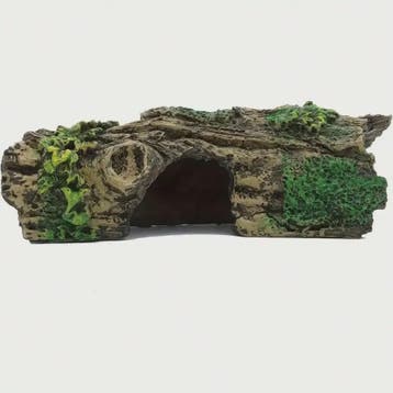 Levensgetrouwe Aquarium Grot met Groen Decor - Natuurlijke S