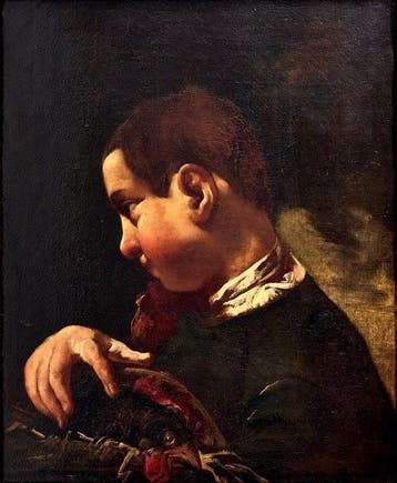 Domenico Fedeli, detto il Maggiotto (1712–1794) - Ritratto