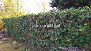 Woningruil - Hoppesteegde 26 - 4 kamers en Friesland, Friesland
