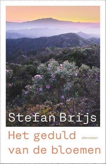 Het geduld van de bloemen - Stefan Brijs 9789045052120, Verzenden, Zo goed als nieuw, Stefan Brijs