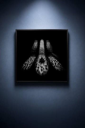 Tijs Dragtsma (1992) - Shafts of Standing Light
